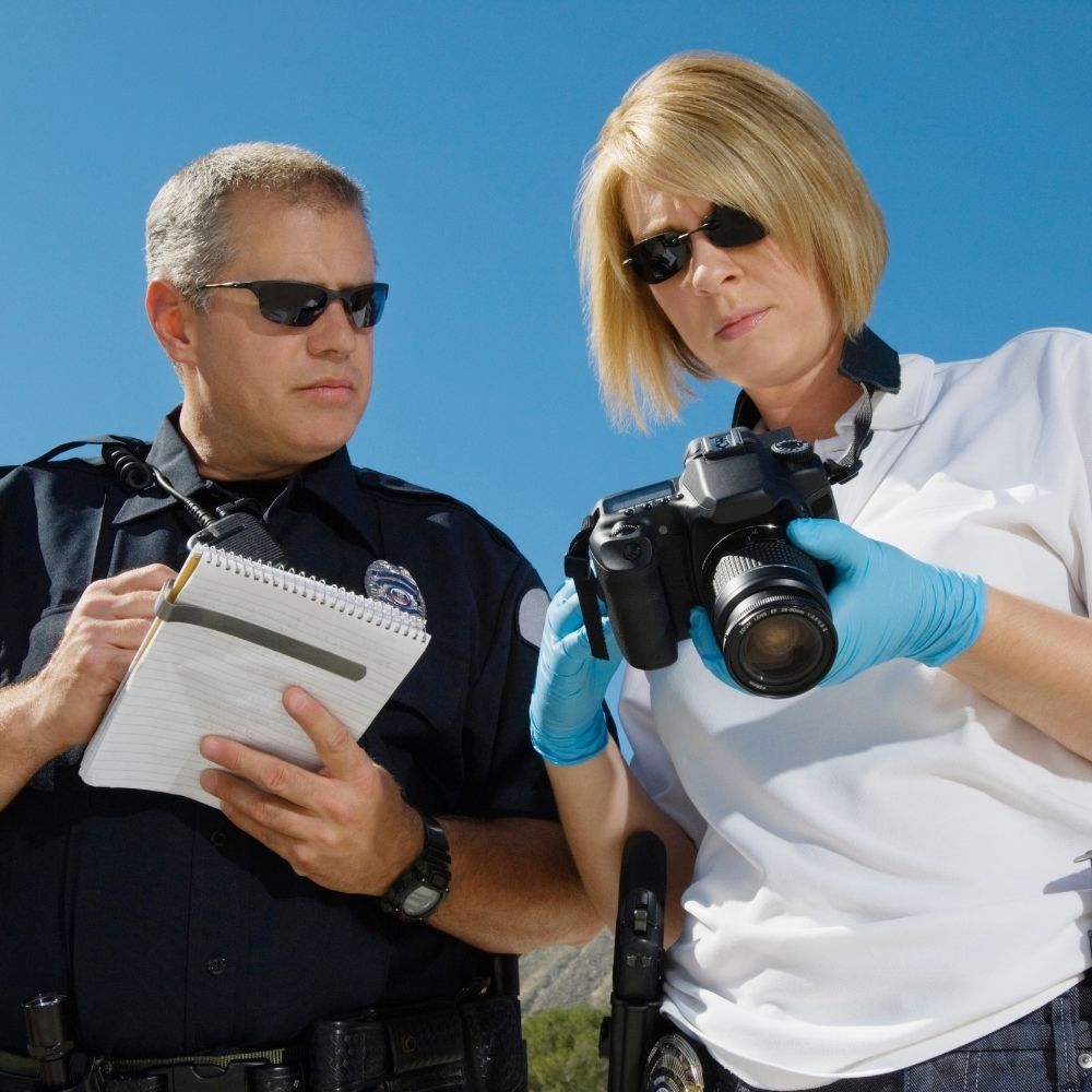 Anaheim Private Investigator